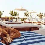 Sails On Kos Ecolux Tented Village Luxe tent
