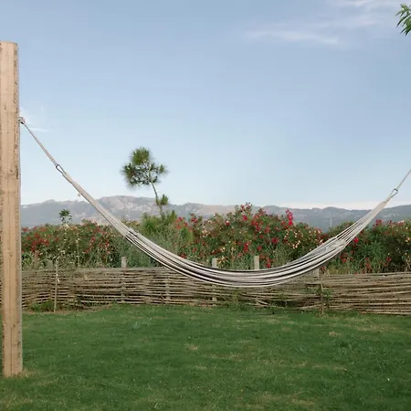 Lüks kamp alanı Sails On Kos Ecolux Tented Village