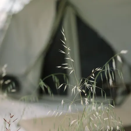 Sails On Kos Ecolux Tented Village Lüks kamp alanı *
