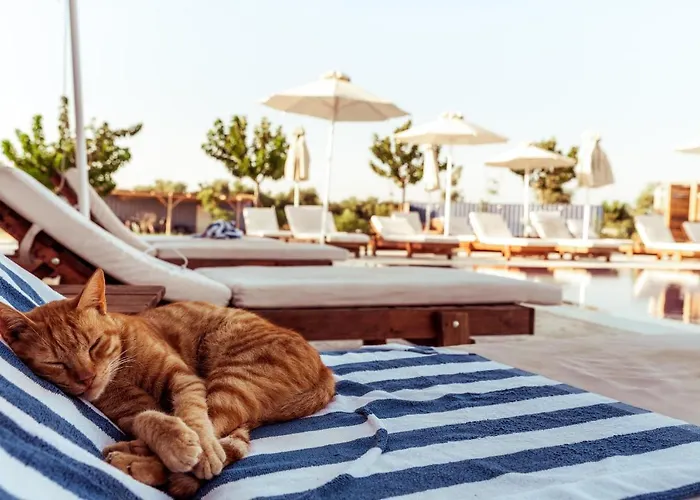 Sails On Kos Ecolux Tented Village Luksusowy namiot