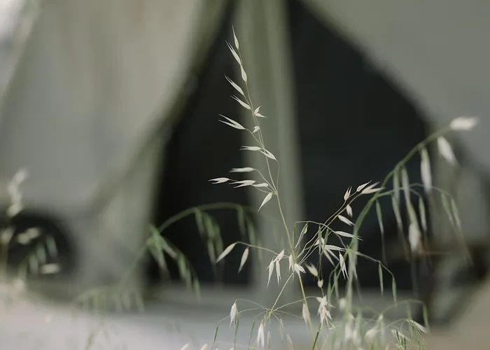 Sails On Kos Ecolux Tented Village Luxury tent *