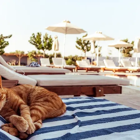 Sails On Kos Ecolux Tented Village Luxury tent